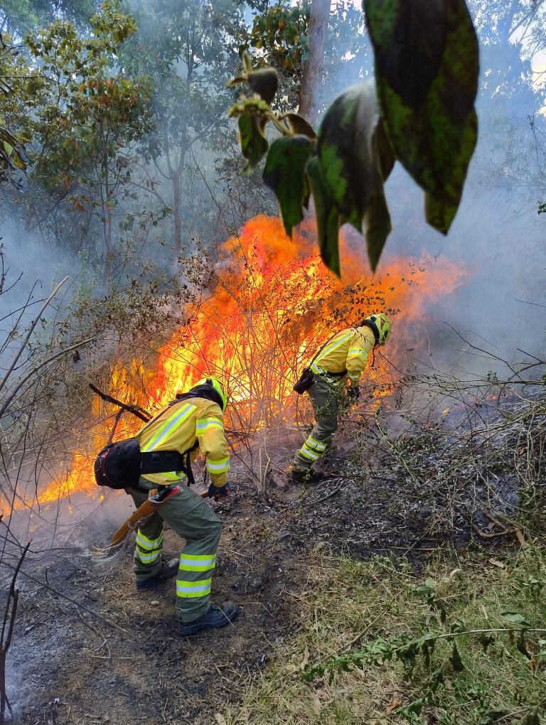 Incendio de cobertura vegetal Medellín.