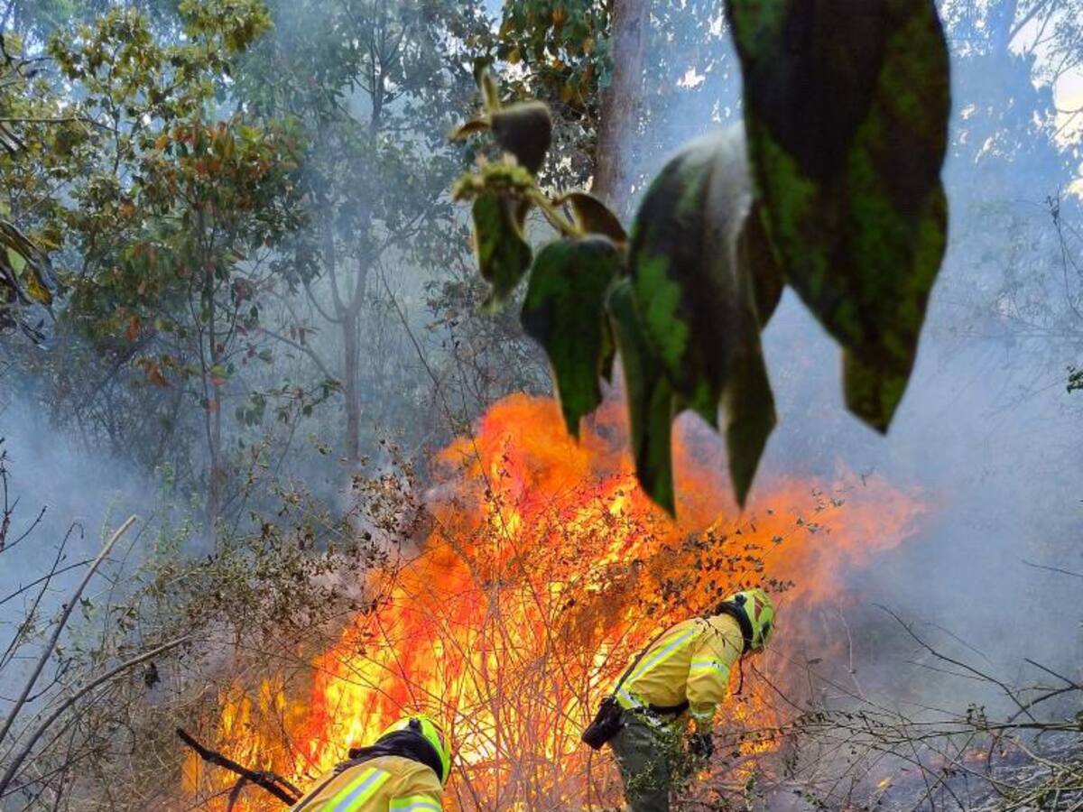 El Dagrd controló 5 incendios forestales en Medellín