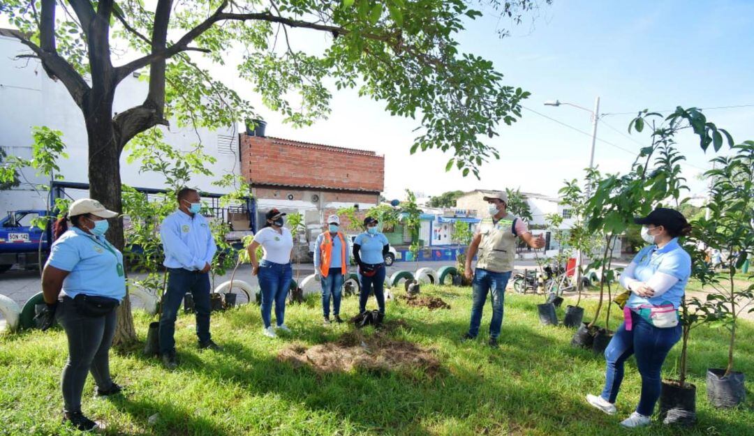 EPA invita a realizar acciones para proteger el patrimonio natural de Cartagena