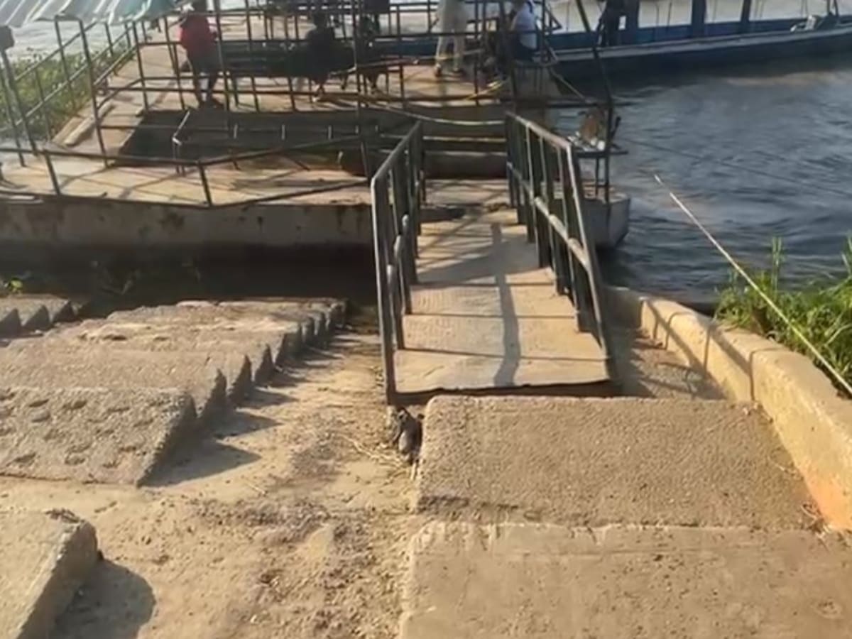Ganaderos en Salamina, Magdalena, denuncian el deterioro del muelle de los johnson
