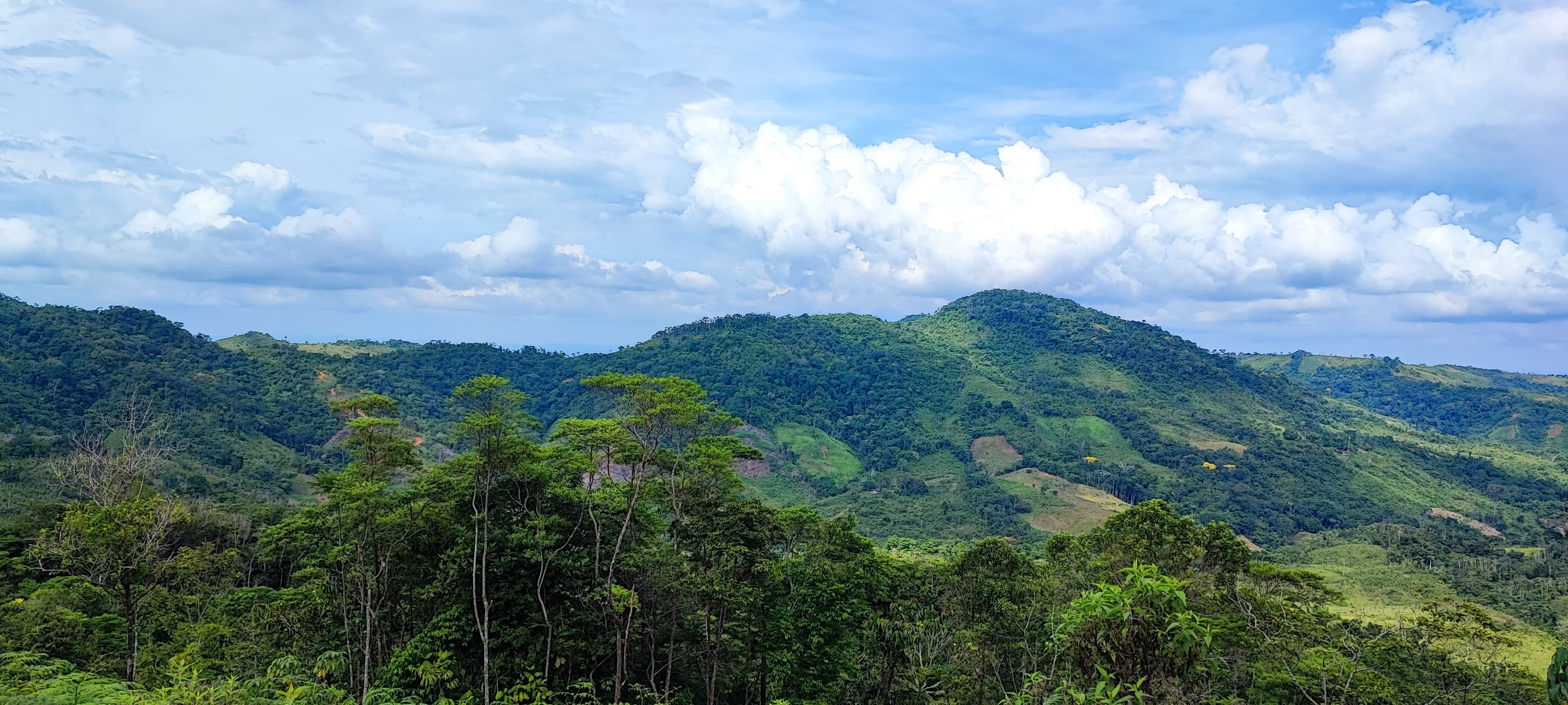 Imagen de referencia. / Foto: URT - Archivo. 