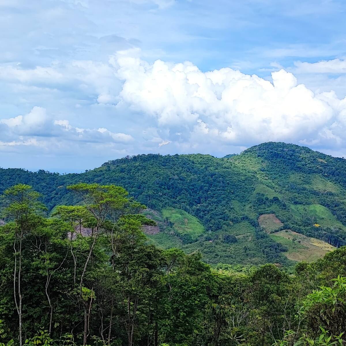 URT de Magdalena y Atlántico propone convenio para evitar impunidad en casos de despojo