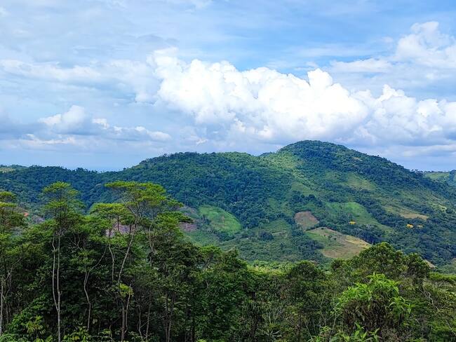 Imagen de referencia. / Foto: URT - Archivo.