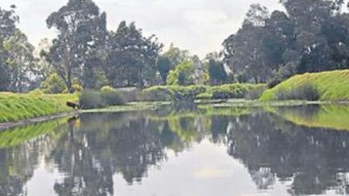 Así es la novedosa alternativa para limpiar el río Bogotá