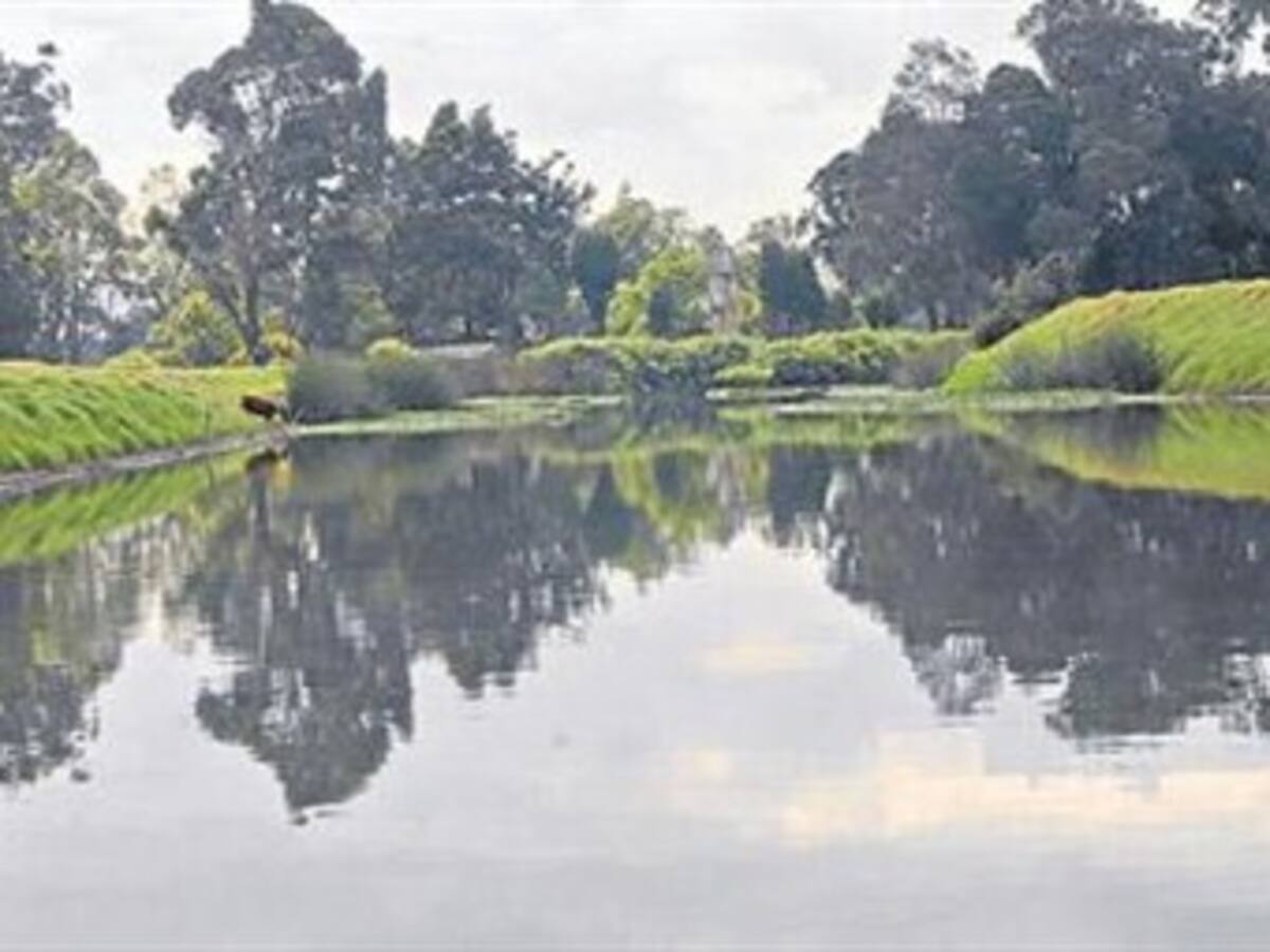 Así es la novedosa alternativa para limpiar el río Bogotá