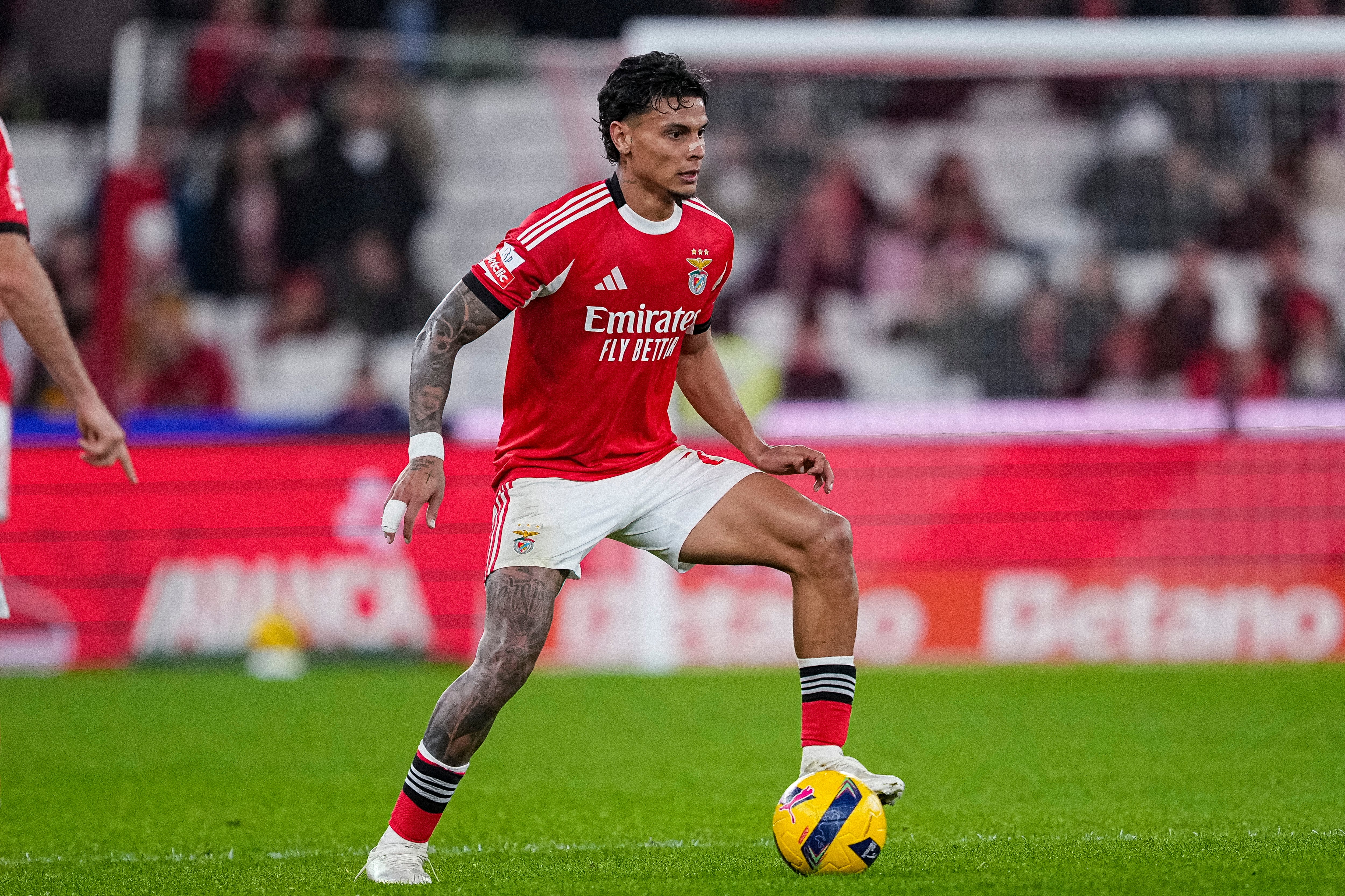 Richard Ríos jugador de Benfica en la Primeira Liga / Getty Images