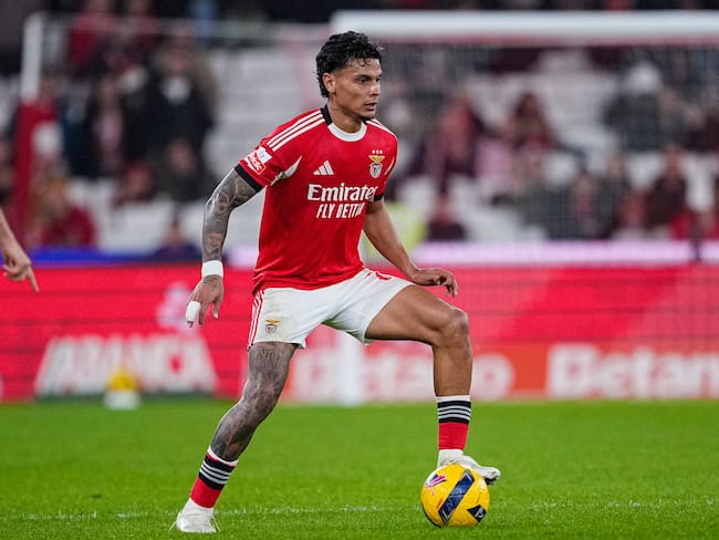 Richard Ríos jugador de Benfica en la Primeira Liga / Getty Images