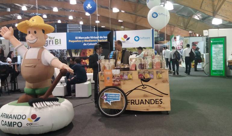 Exposición de frutas deshidratadas