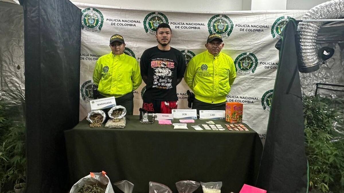 Autoridades de Barranquilla desmantelan laboratorio para la producción de marihuana