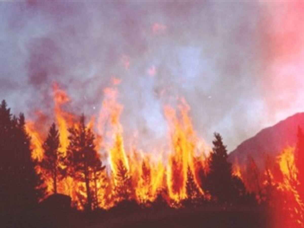 Ola de calor y humo multiplican por dos la mortalidad en Moscú