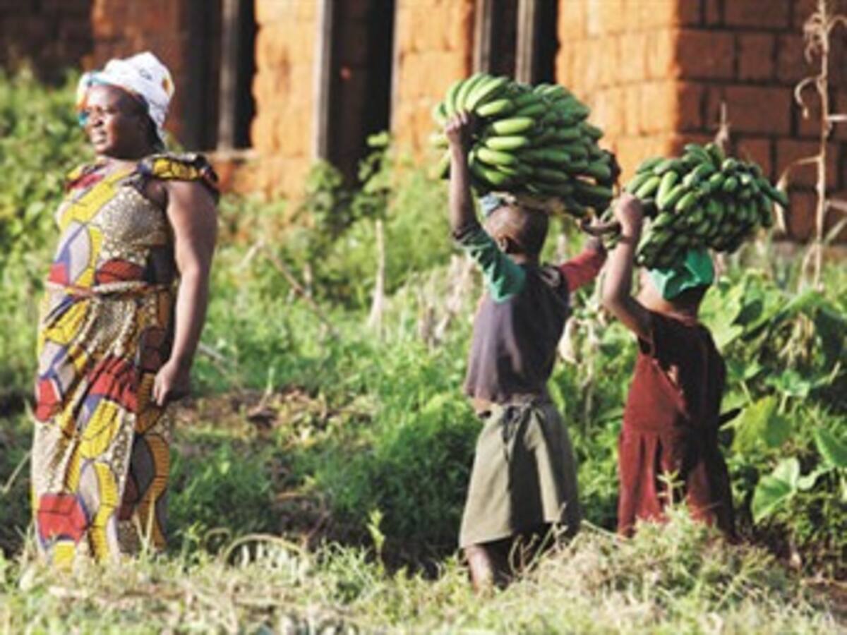 La seguridad alimentaria y el cambio climático reúnen a presidentes de África