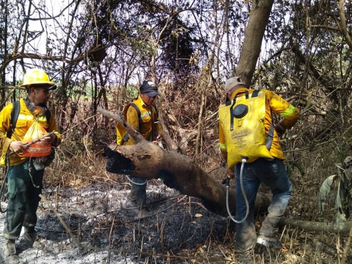 Incendio arrasa con vegetación en Vía Parque Isla de Salamanca