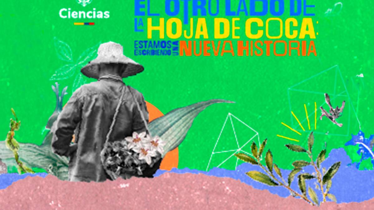Desarrollo sostenible de la hoja de coca como motor para la paz y cambio en territorios