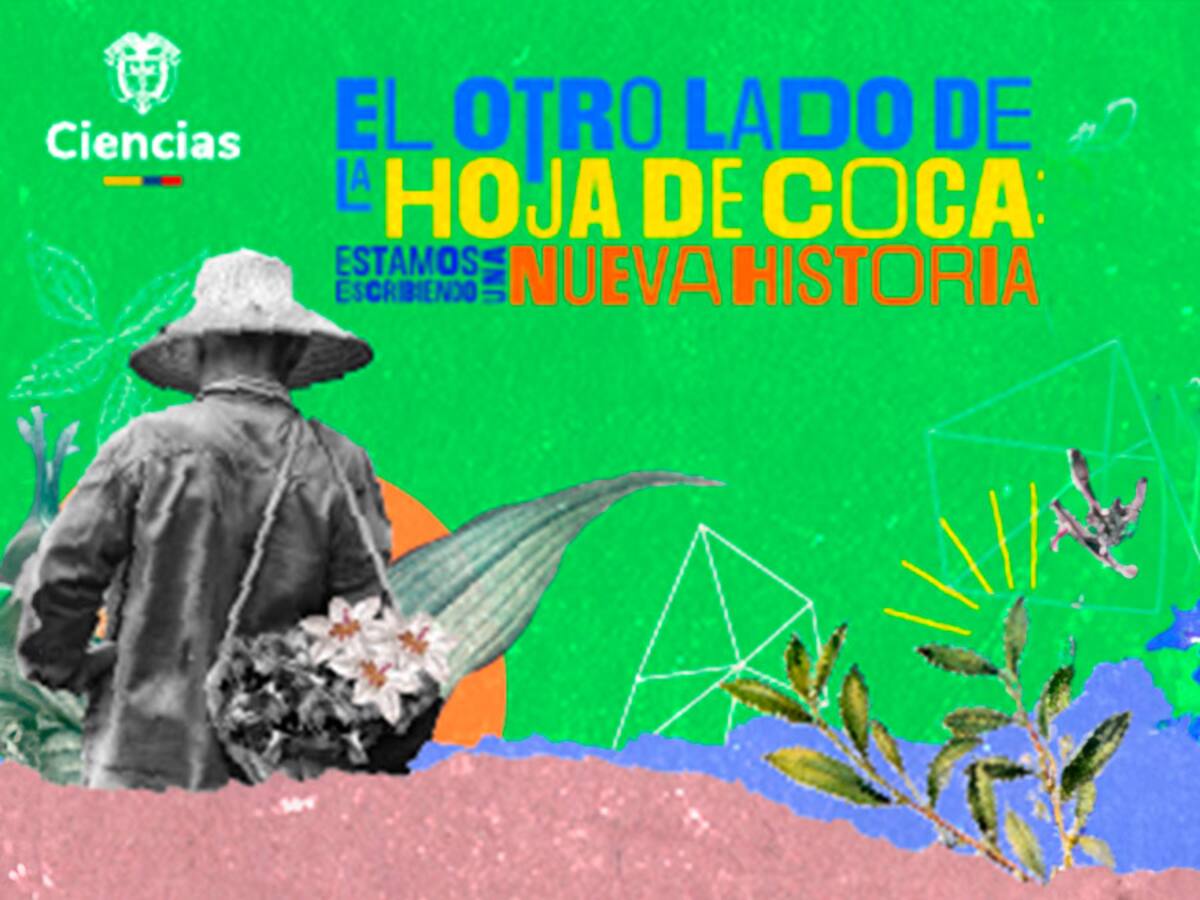 Desarrollo sostenible de la hoja de coca como motor para la paz y cambio en territorios
