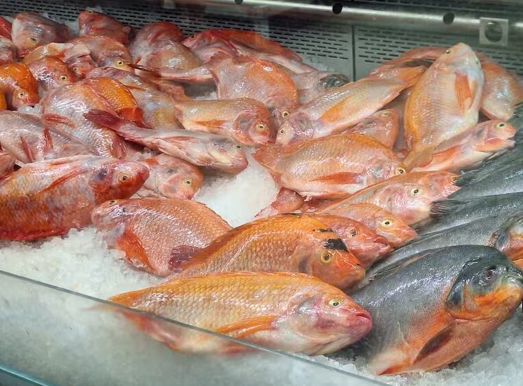 Foto: Alcaldía de Pereira