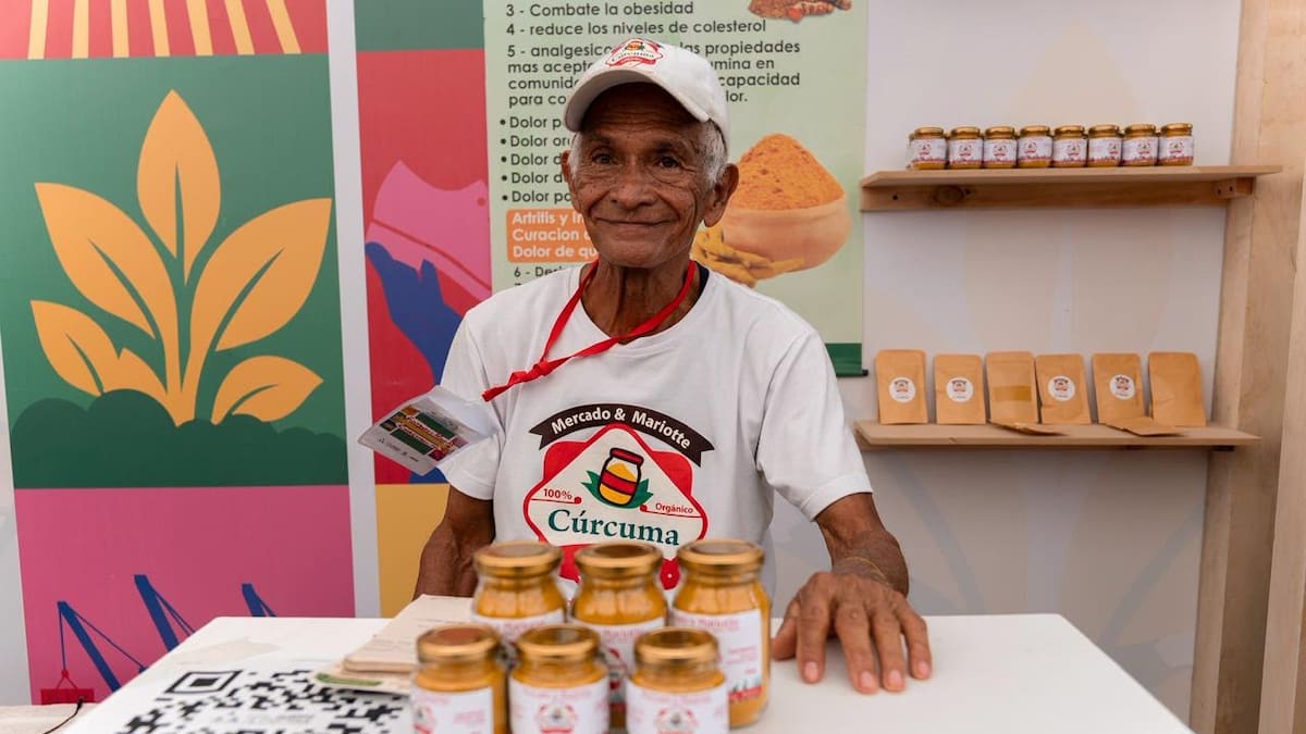 TechnoServe y Cámara de Comercio de Cartagena abren convocatoria para agroempresas de Bolívar