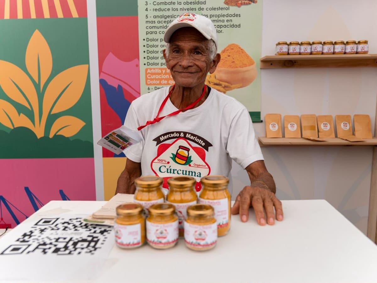 TechnoServe y Cámara de Comercio de Cartagena abren convocatoria para agroempresas de Bolívar