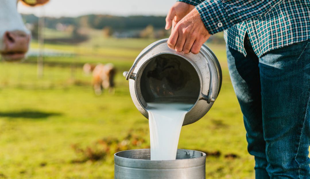 Producción de leche en Colombia cerca de una crisis