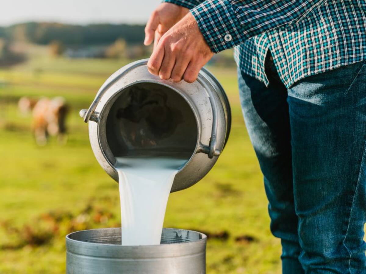 Insumos caros tienen en jaque a los productores de leche