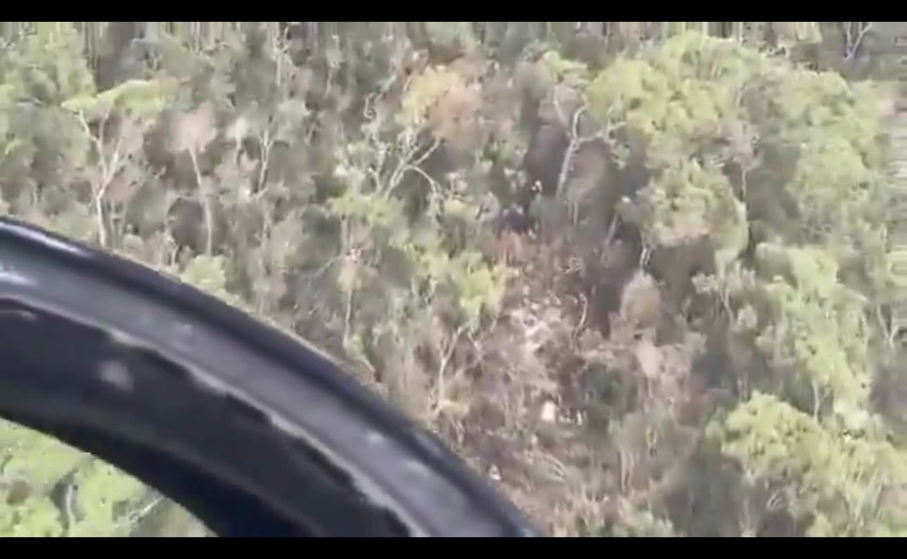 Las labores de rescate se han complicado por lo difícil del terreno. Foto: Cortesía.