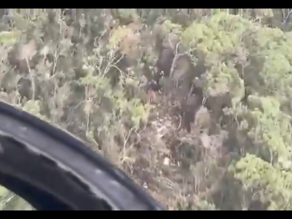 Rescate terrestre estará activo las 24 horas para tratar de ubicar la aeronave desaparecida en Urrao