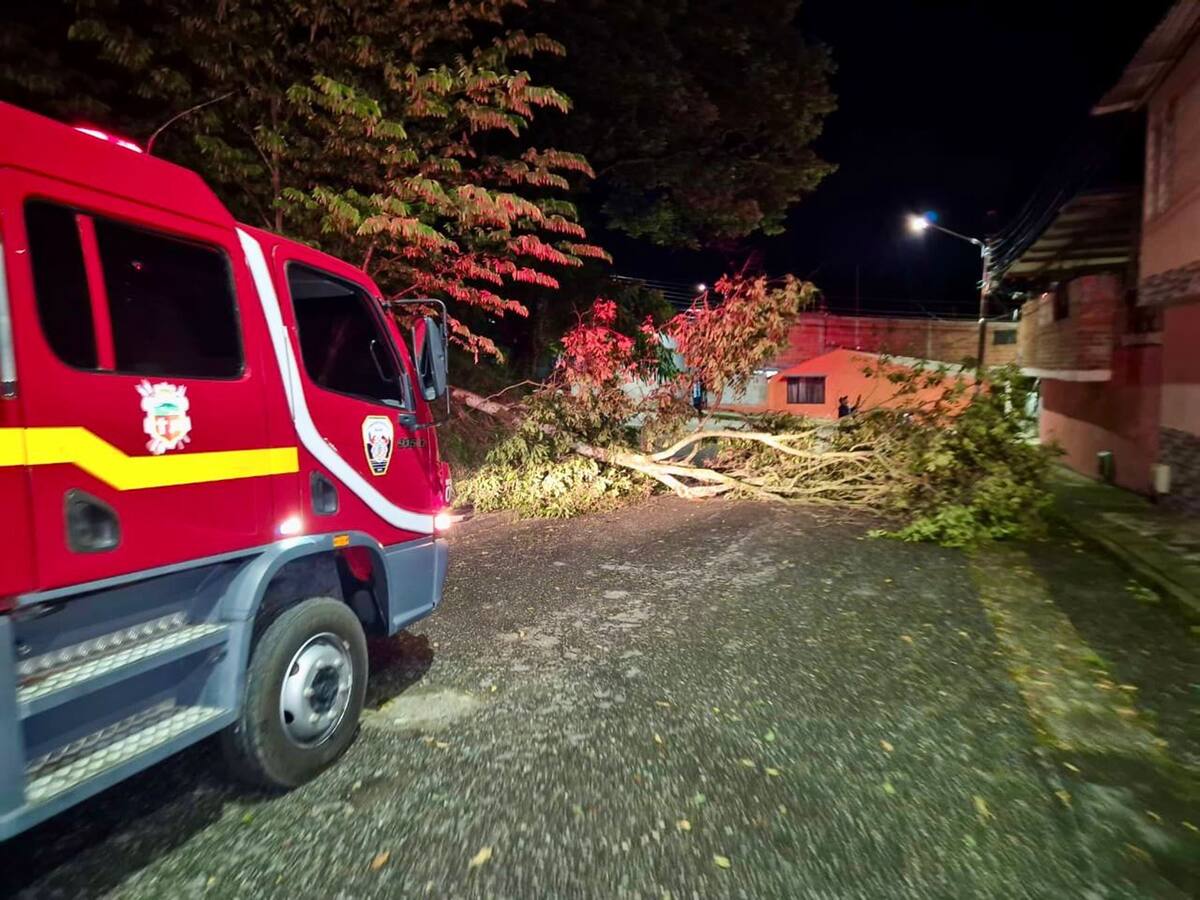 Más de 300 emergencias se han presentado en medio de la temporada de más lluvias en Ibagué