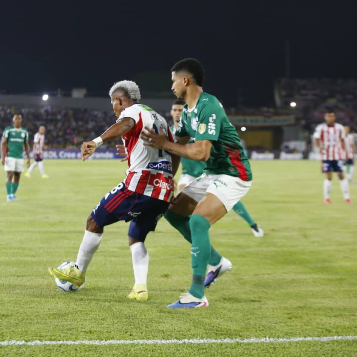 Junior empató con Palmeiras en su debut en la Copa Libertadores: Resumen y goles del partido