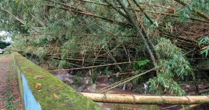 Imagen de archivo - Alcaldía de Pereira