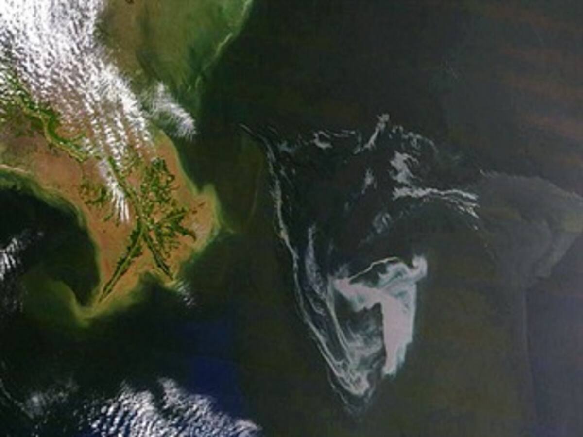 Sigue el desastre ecológico en el Golfo de México