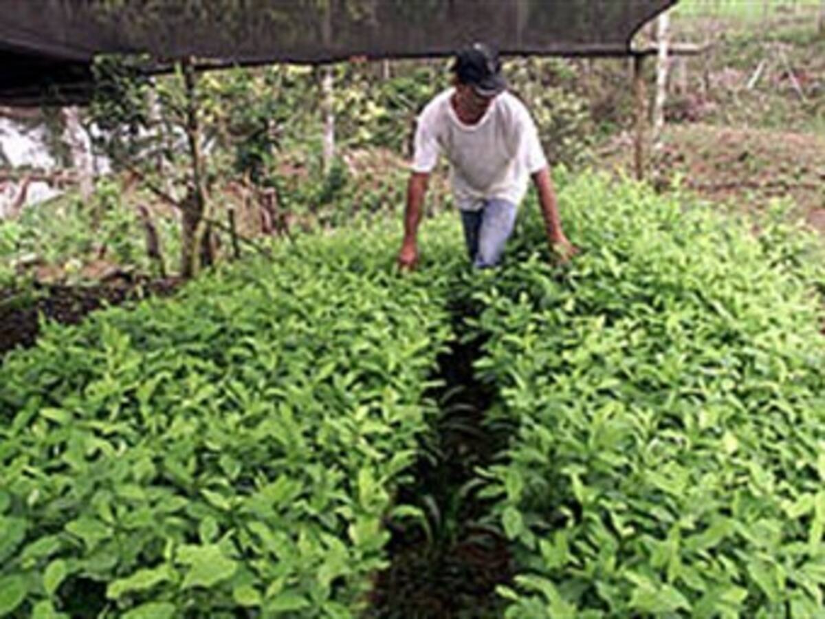 Gobierno atenderá hoy inquietudes de alcaldes sobre Pacto Agrario
