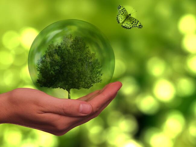 Chamanismo: aprender, crecer y evolucionar