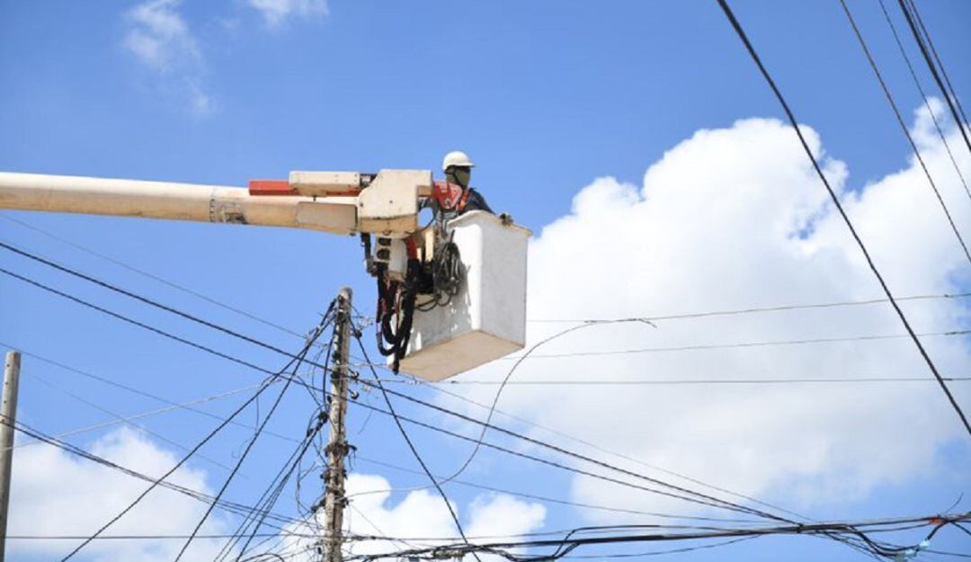 imagen de referencia