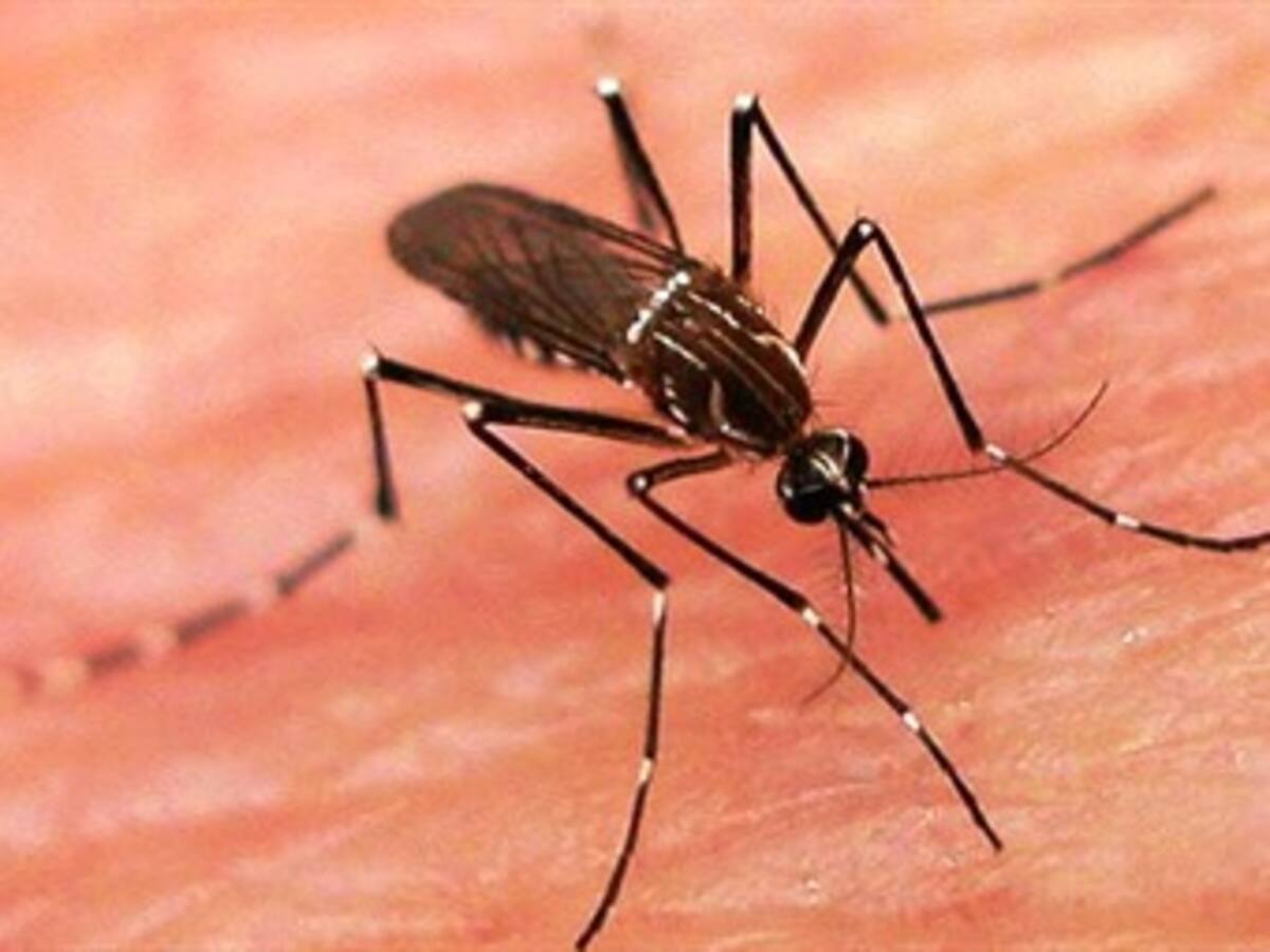 Alerta por brote de dengue en Colombia