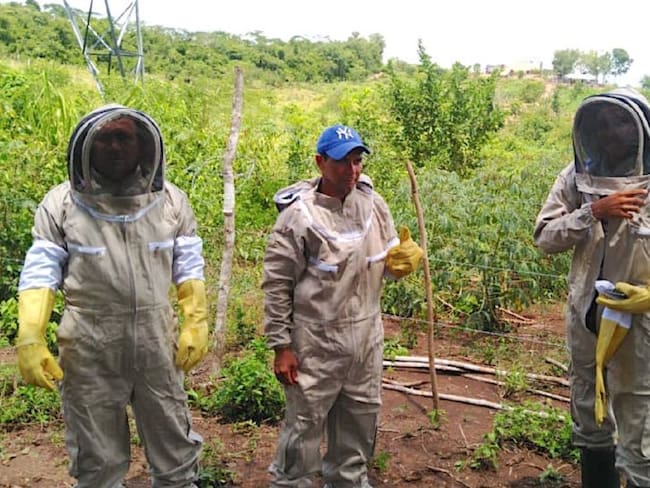 Campesinos bolivarenses firman alianza para comercializar miel de abeja