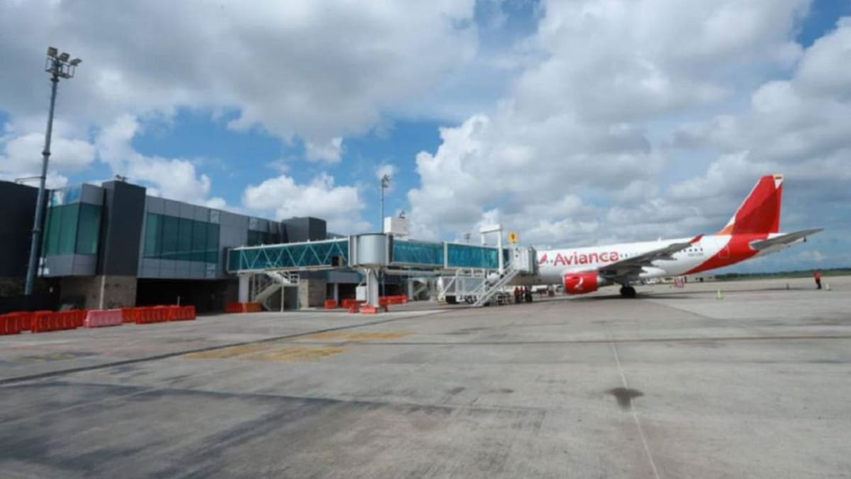 Nueva emergencia por impacto de aves contra avión en el Cortissoz