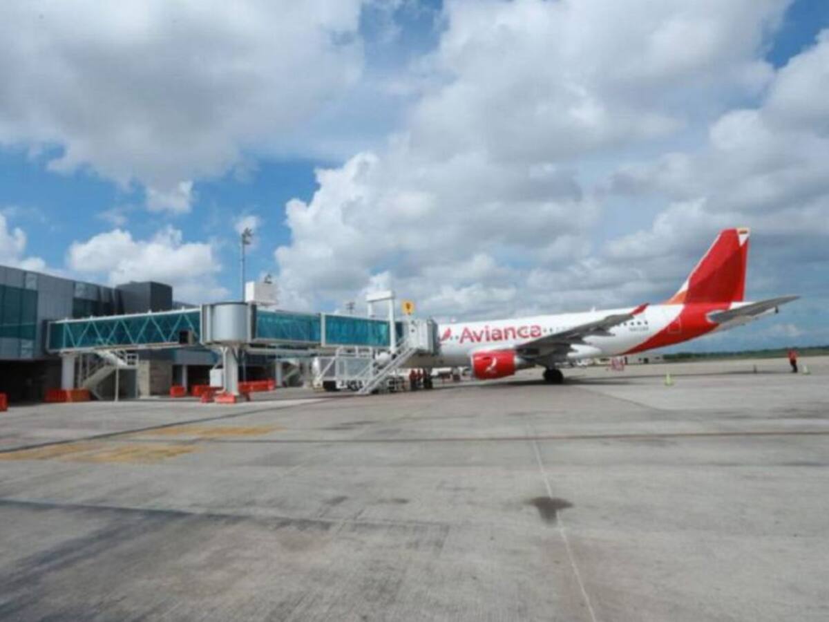 Nueva emergencia por impacto de aves contra avión en el Cortissoz