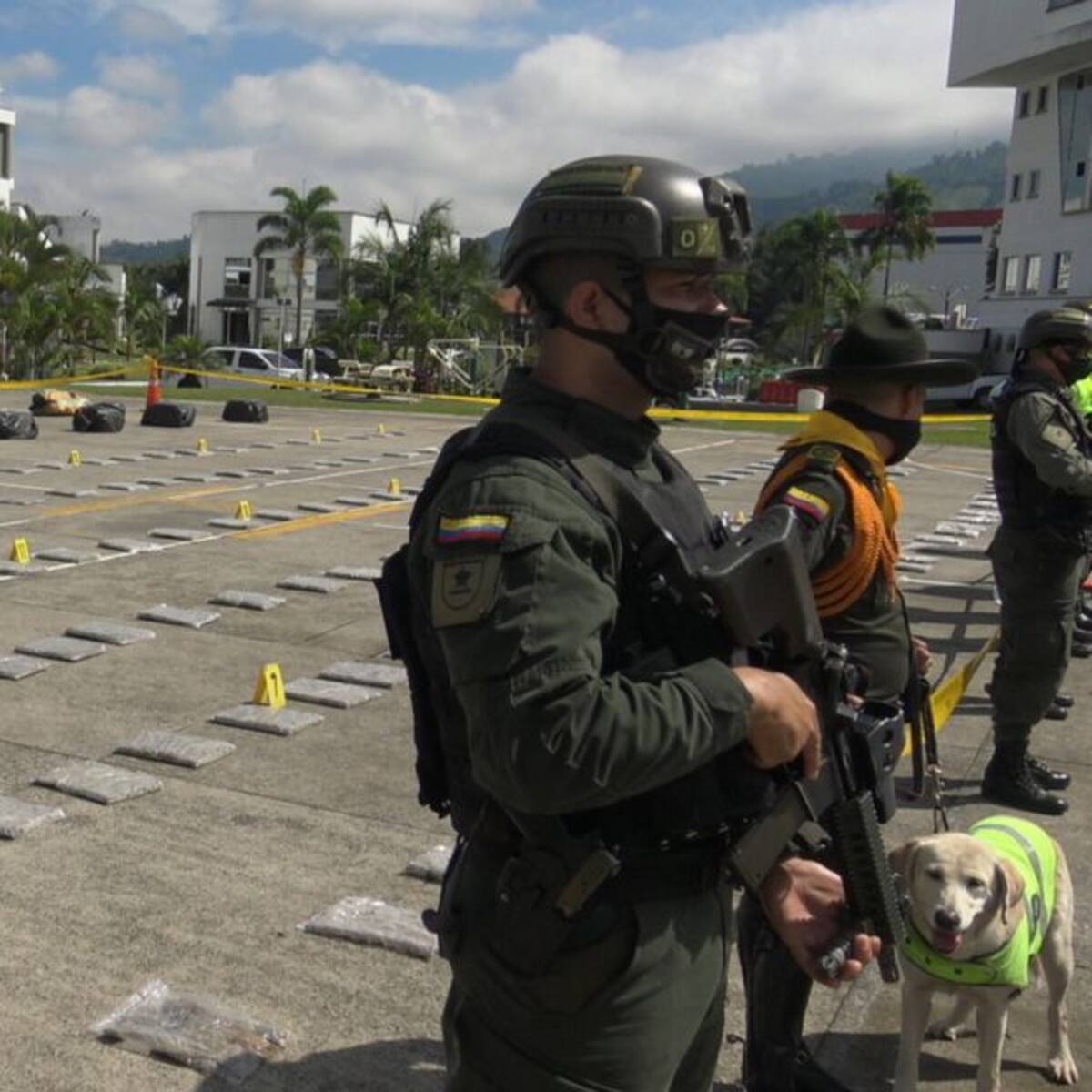 Incautan una tonelada de marihuana en zona rural de Pereira