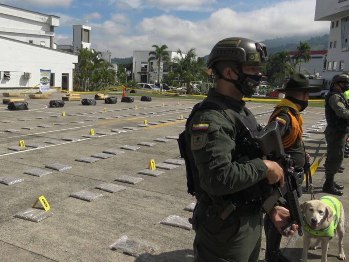 Incautan una tonelada de marihuana en zona rural de Pereira