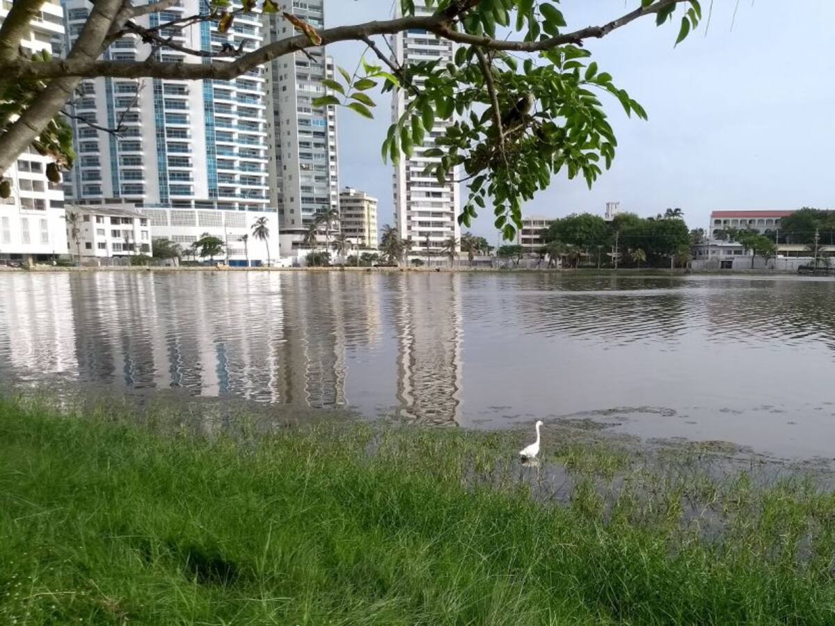 El Laguito en Cartagena contará con una bomba axial adquirida por Cardique