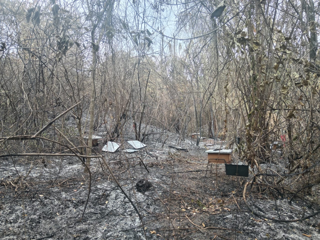 Incendio forestal zona rural del municipio de Aipe Huila.