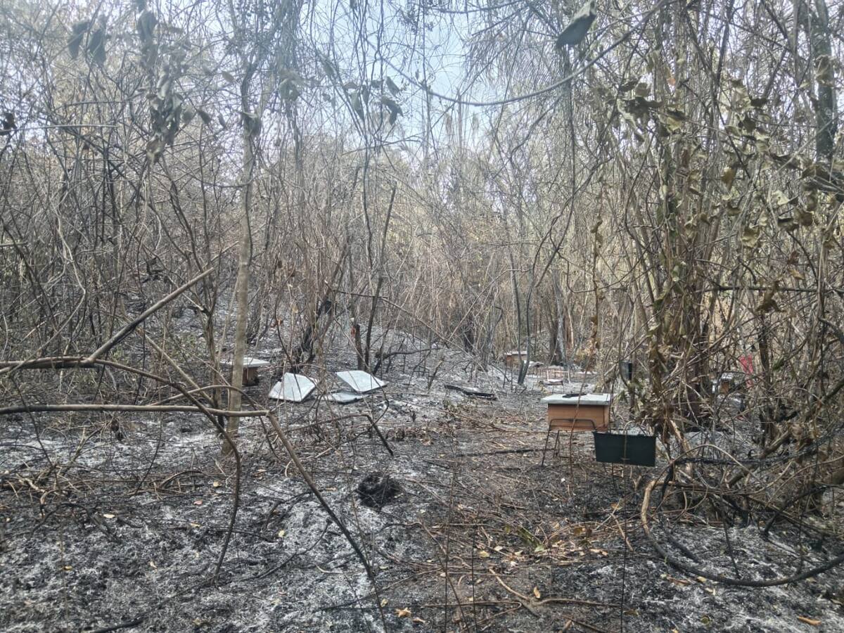 Devastador incendio forestal deja a familias de Aipe sin hogar y con pérdidas millonarias
