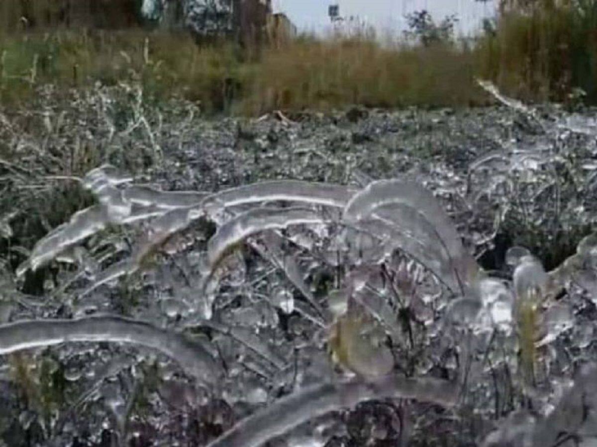 Temperatura ha descendido por debajo de los -6° centígrados, hay alerta en 50 municipios