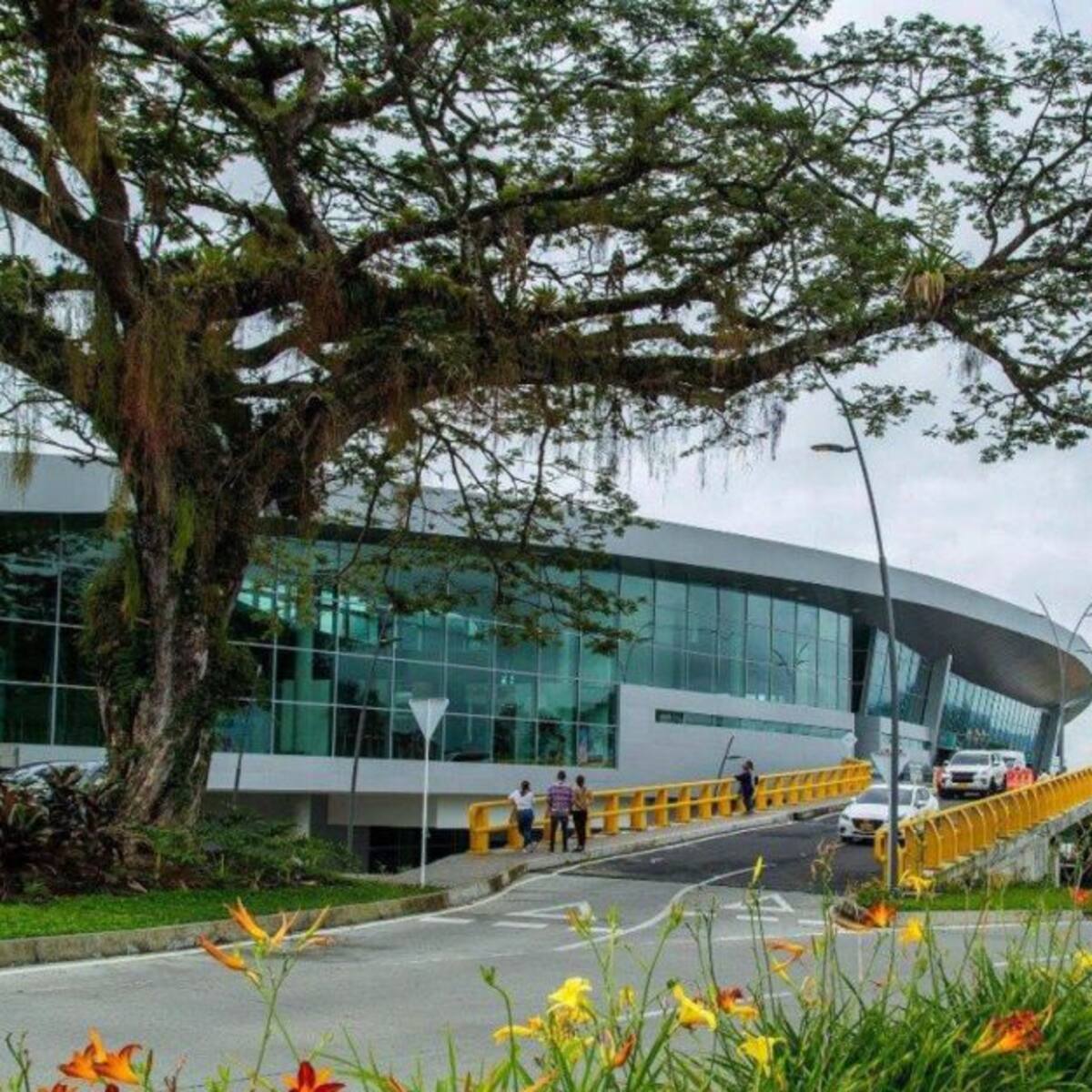 Construcción de la vía de acceso al Aeropuerto Matecaña iniciará este año