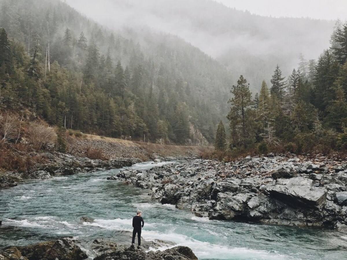 La naturaleza como mitigador de las condiciones físicas y mentales