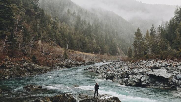 La naturaleza como mitigador de las condiciones físicas y mentales.