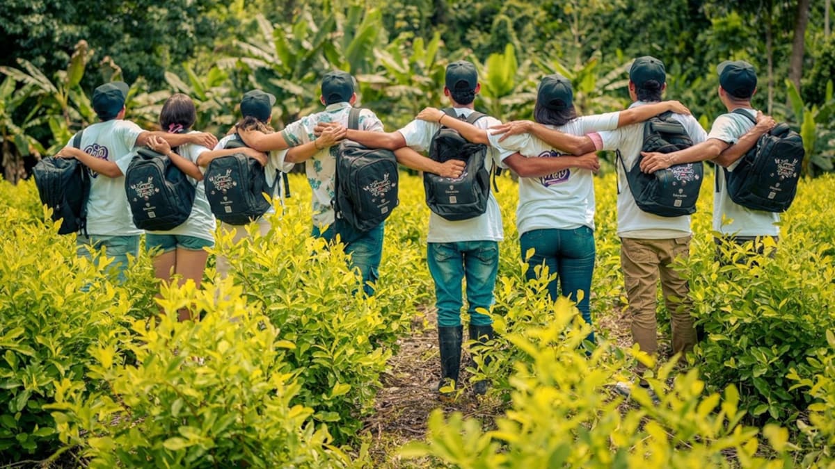 “31.000 jóvenes del Catatumbo acceden a educación superior pública”: MinEducación