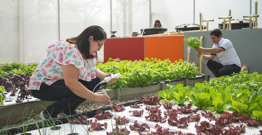 Laboratorio de Bioeconomía Colibrí en Ibagué