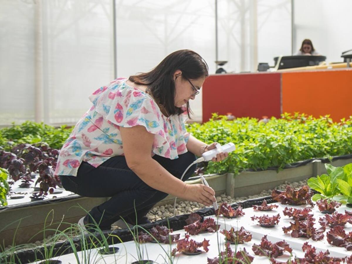 Arranca Congreso Internacional de Bioeconomía en Ibagué