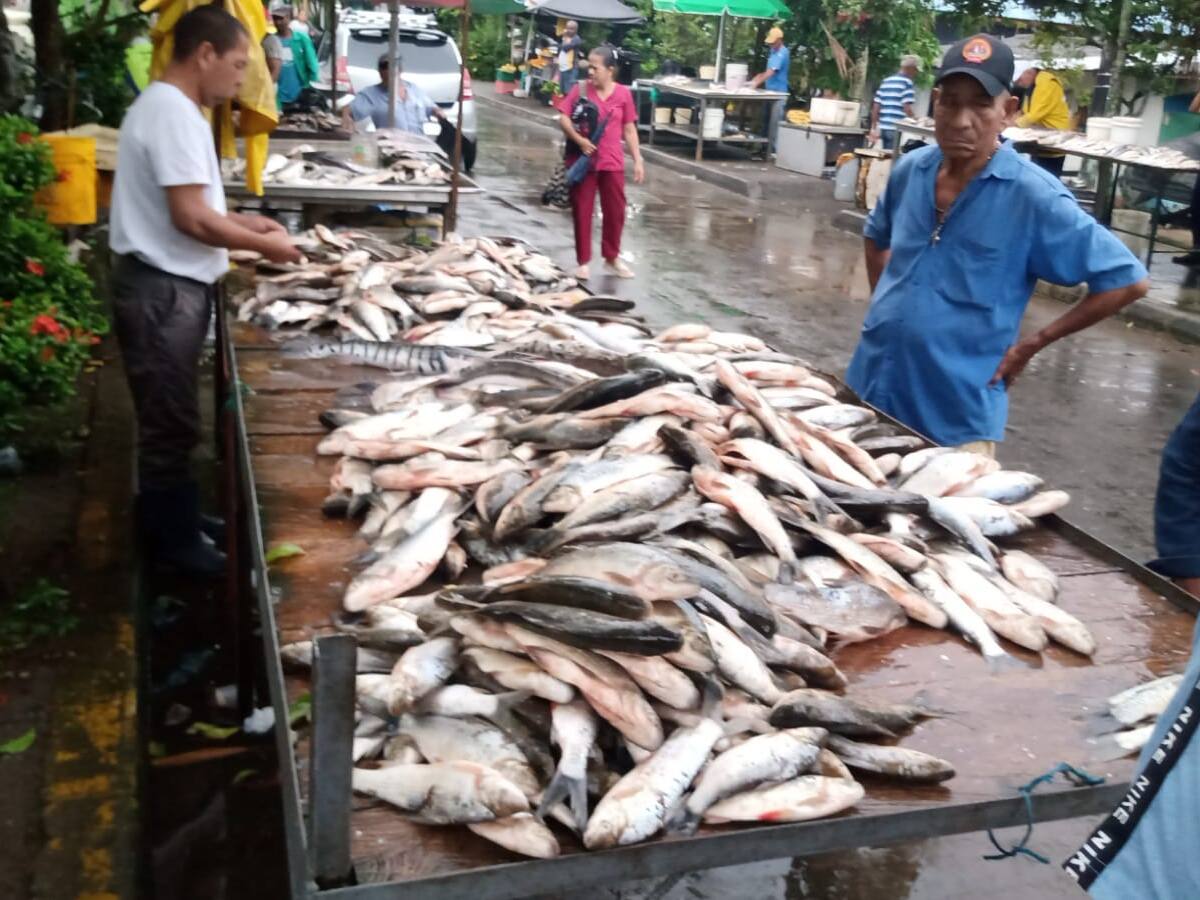 A $1.000 venden el bocachicho en Puerto Wilches por subienda