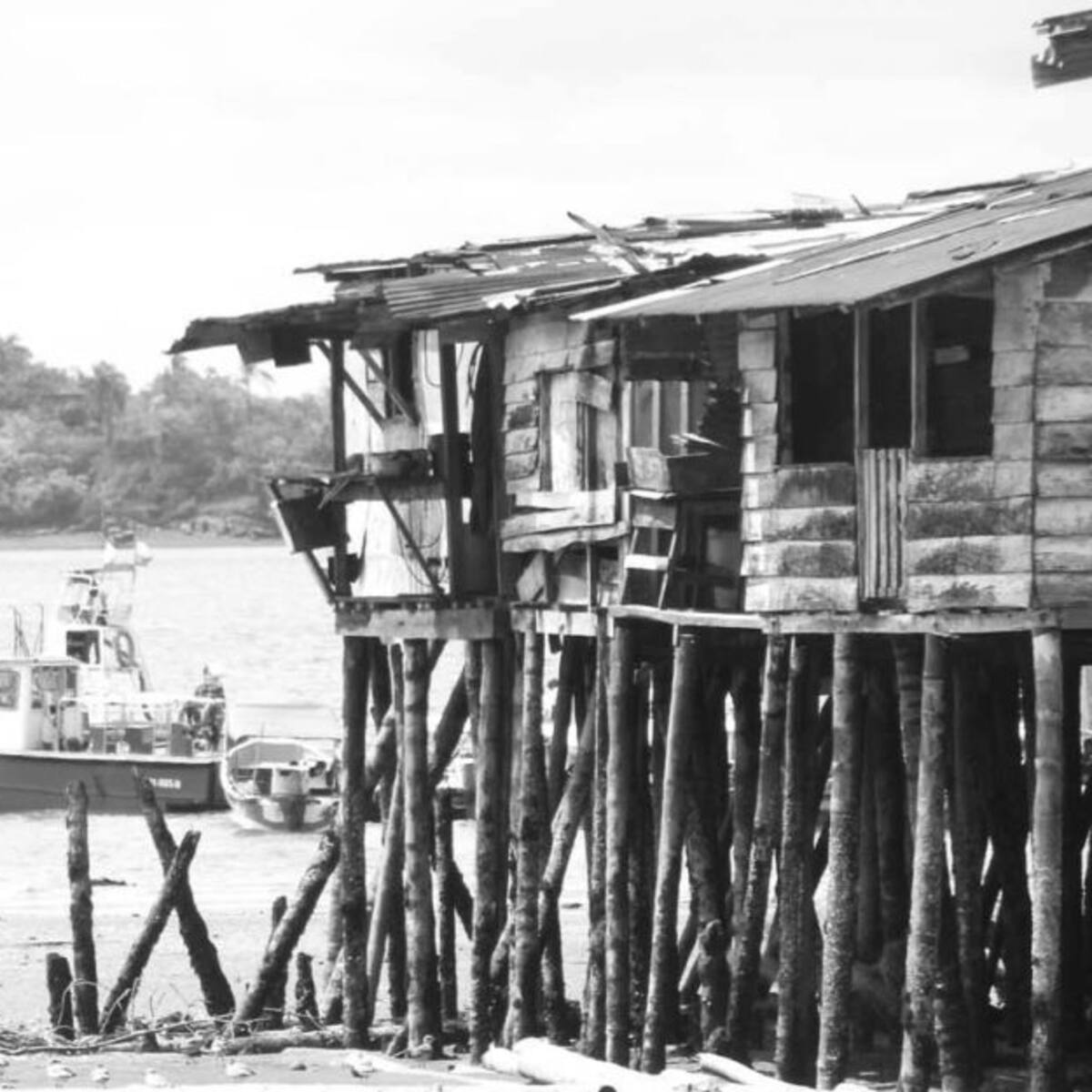 Hay felicidad en Buenaventura por la Ley del Viche